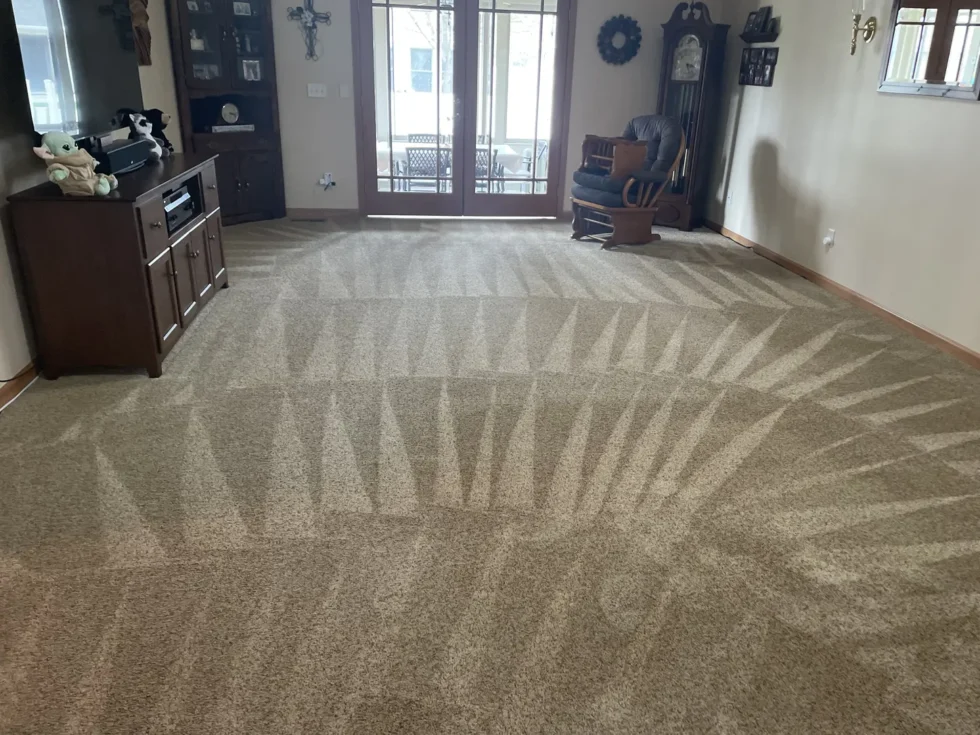 Freshly cleaned carpet with vacuum grooming lines in a Dayton living room