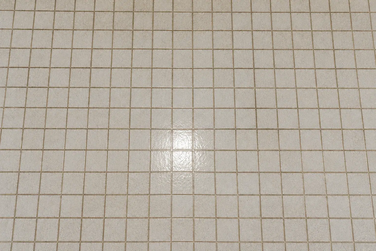 Tile and grout floor before cleaning, darkened soiled grout lines
